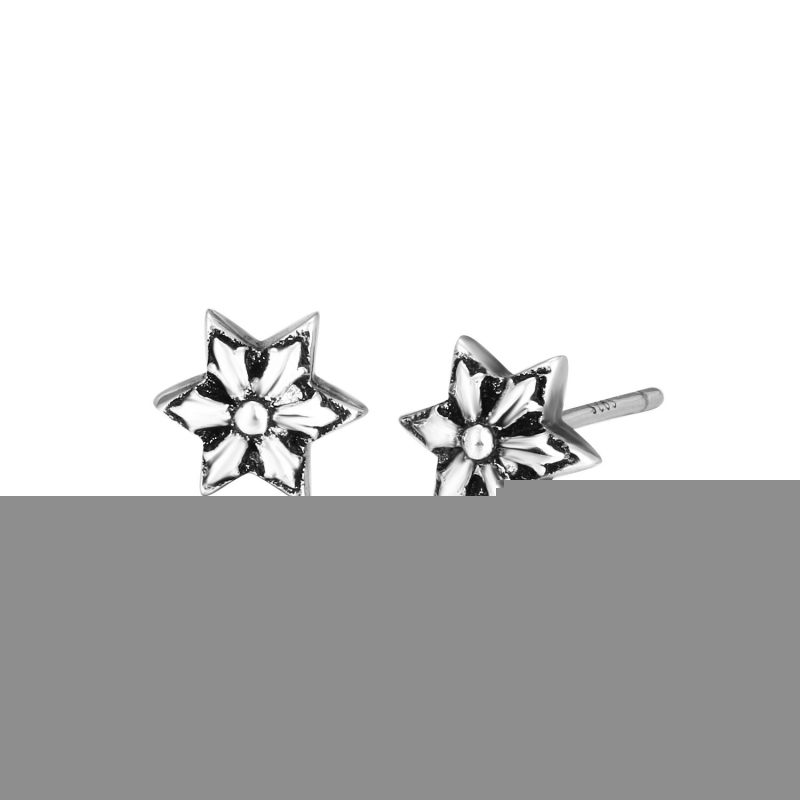 Ch**me He**ts earrings